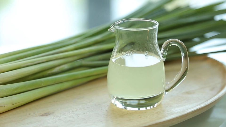 ประโยชน์จากตะไคร้