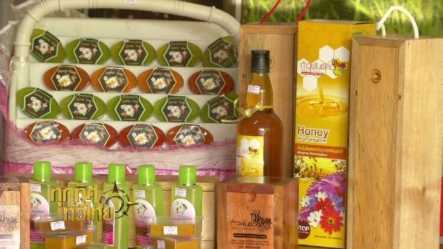 ชุมชนทั่วไทย : เลี้ยงผึ้งโพรง