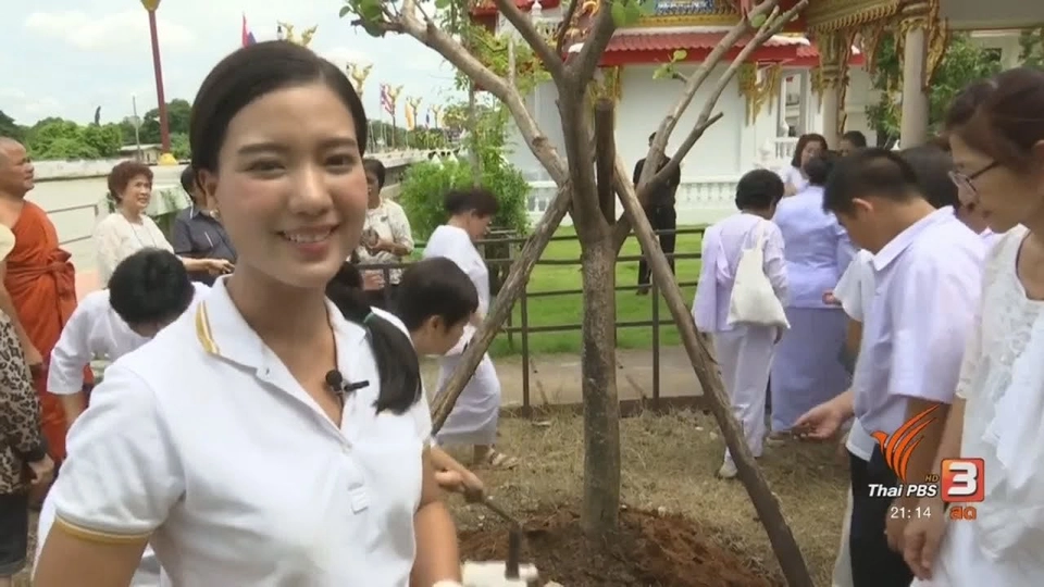 กิจกรรมปลูกต้นไม้วัดนายโรง