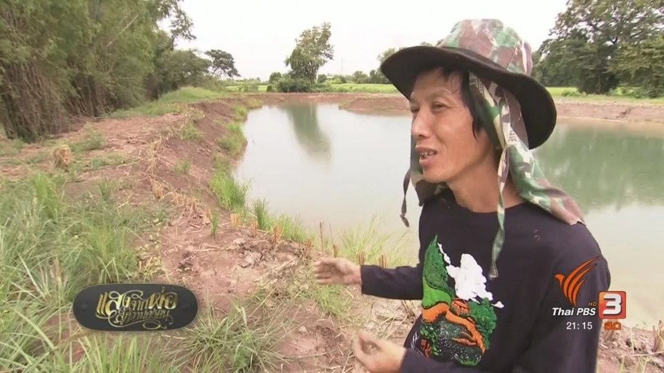 เรียนกับแปลงถือแรงสามัคคี