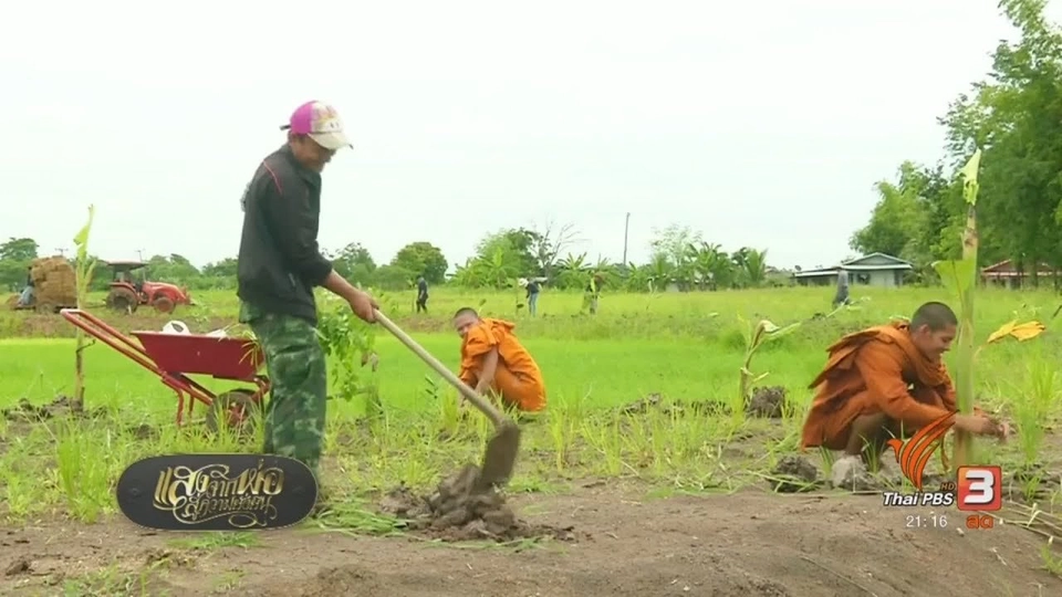 ร่วมแรงสร้างแหล่งอาหารตามรอยพ่อ