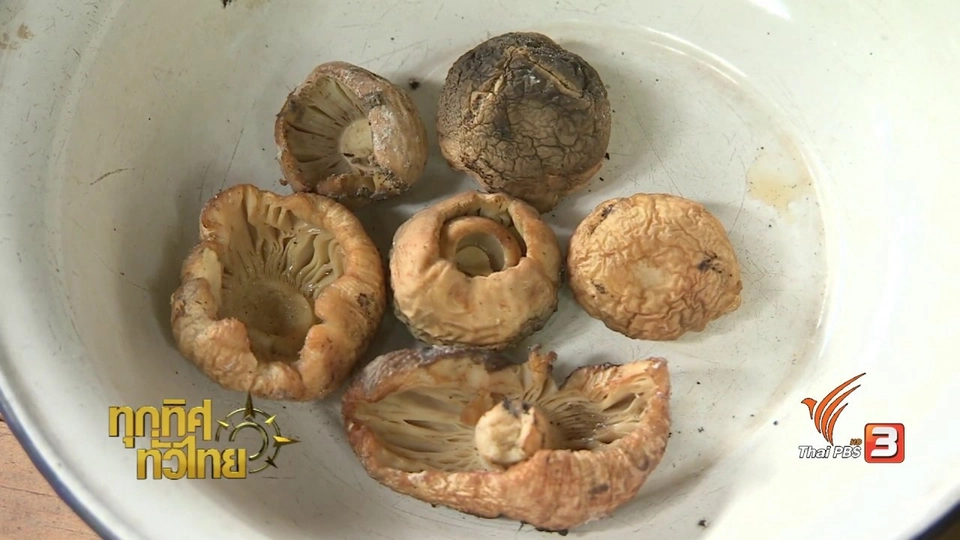 จุฑามาศ พาตะลุย : เมนูจากเห็ดหอม