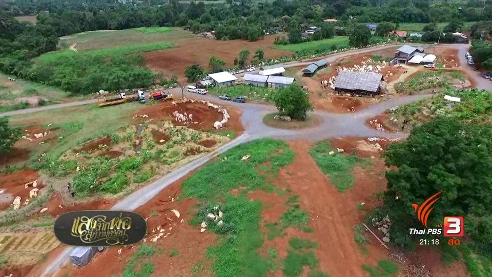 นักธุรกิจกับศาสตร์พระราชา