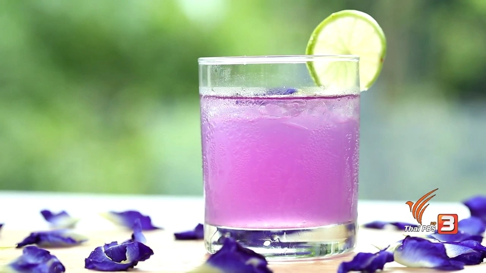 กินดี อยู่ดี กับหมอพรเทพ : น้ำอัญชันบำรุงเส้นผมและสายตา