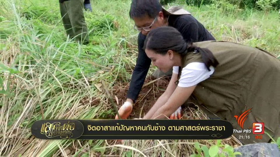 จิตอาสาแก้ปัญหาคนกับช้าง ตามศาสตร์พระราชา