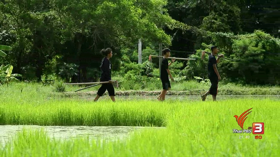 ต้นกล้าแห่งความพอเพียง