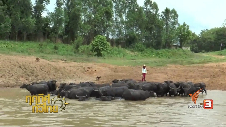 ชุมชนทั่วไทย : แหล่งท่องเที่ยว "คลองสียัด"