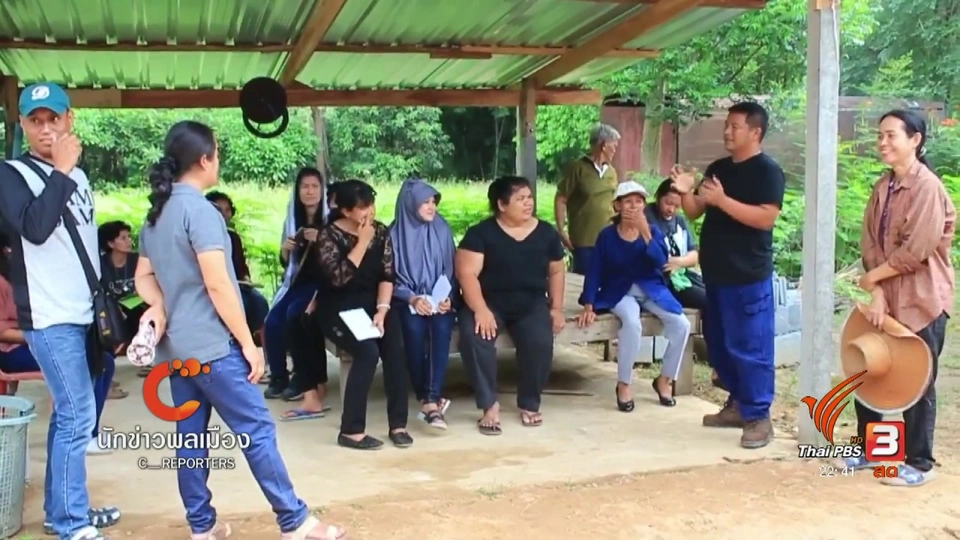 นักข่าวพลเมือง : เรียนรุ้วิถีผลิต เกษตรอินทรีย์เขาไม้แก้ว จากแปลงสู่ปาก