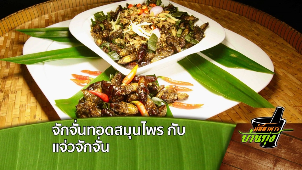 จักจั่นทอดสมุนไพร กับ แจ่วจักจั่น