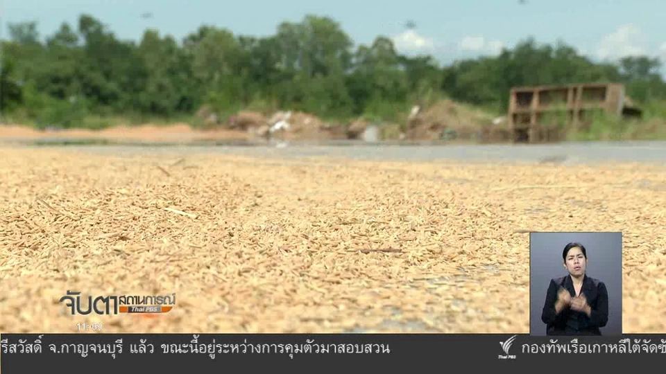 ผลกระทบชาวนาจากนโยบายราคาข้าว