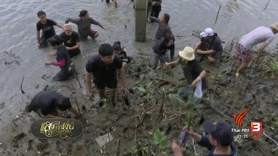 กิจกรรมบางปะกง