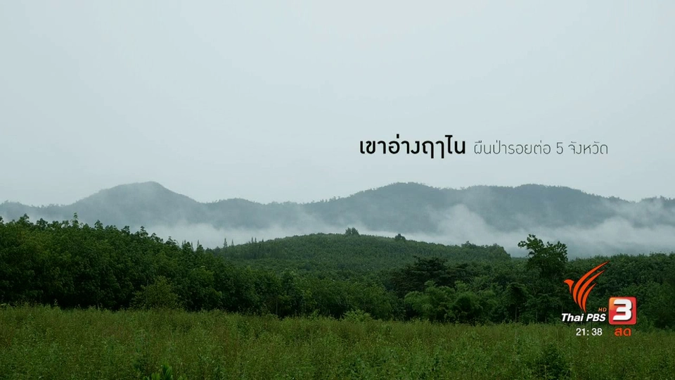 การจัดการป่าตามศาสตร์พระราชา