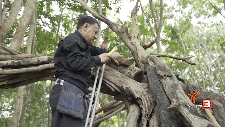 ลุงจรูญ ผู้ก่อตั้งวังเทพทาโร