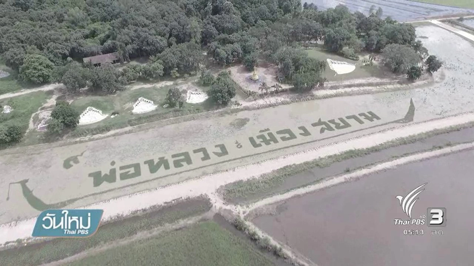 ชาวบ้านปลูกผักแปรอักษรแสดงความจงรักภักดี