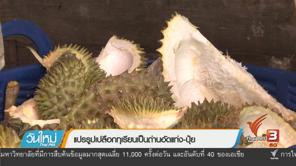 แปรรูปเปลือกทุเรียนเป็นถ่านอัดแท่ง-ปุ๋ย