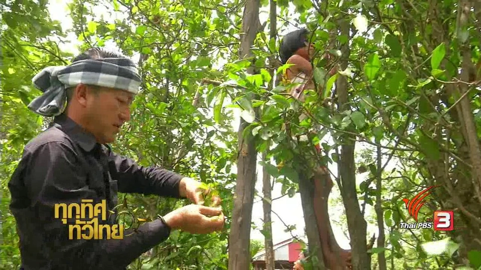 ประเด็นข่าว (23 มิ.ย. 60)