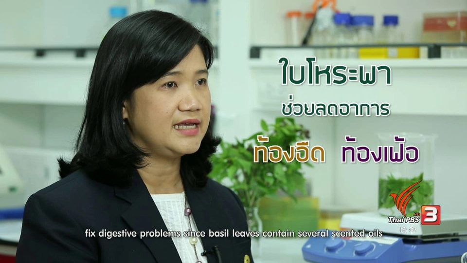 soเชี่ยว FAKE or FACT : การดื่มน้ำโหระพาแล้วทำให้นอนหลับจริงหรือไม่