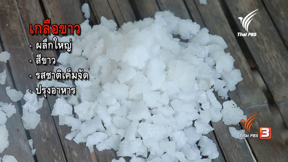 รู้จักเกลือสมุทร