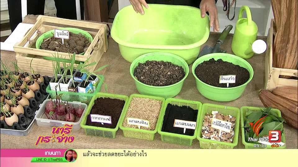 วิถีคนเมือง ปลูกผักพึ่งพาตน