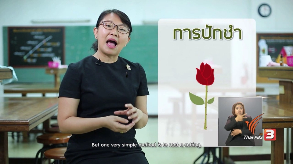 อิทธิพลสื่อโฆณาที่ส่งผลกระทบต่อเด็กและเยาวชน