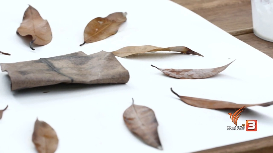 ต้นไม้ร้องไห้