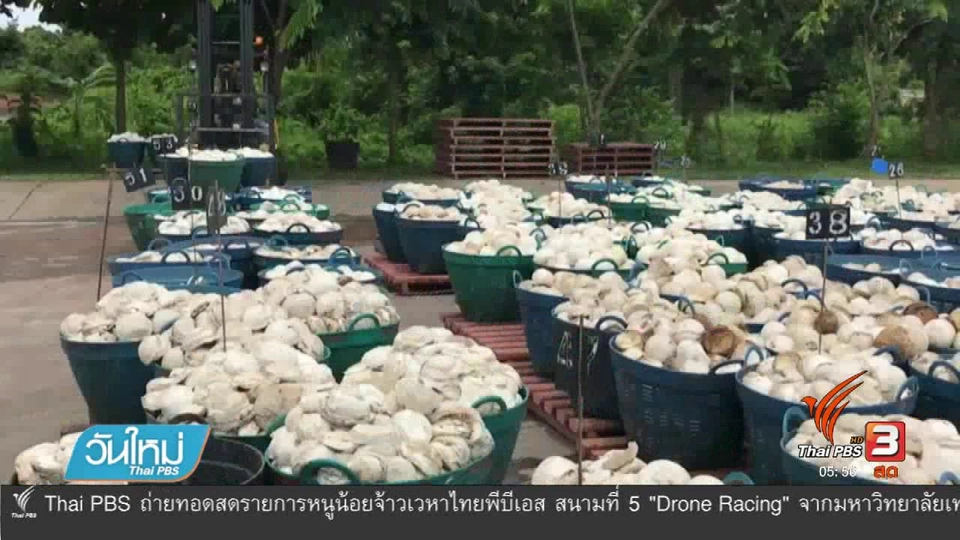 เรียกร้องเปลี่ยนตัว รมว.เกษตรและสหกรณ์หลังล้มเหลวแก้ปัญหาราคายาง