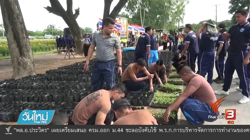 กองบิน 46 ออกแบบดาวเรืองแปรอักษร