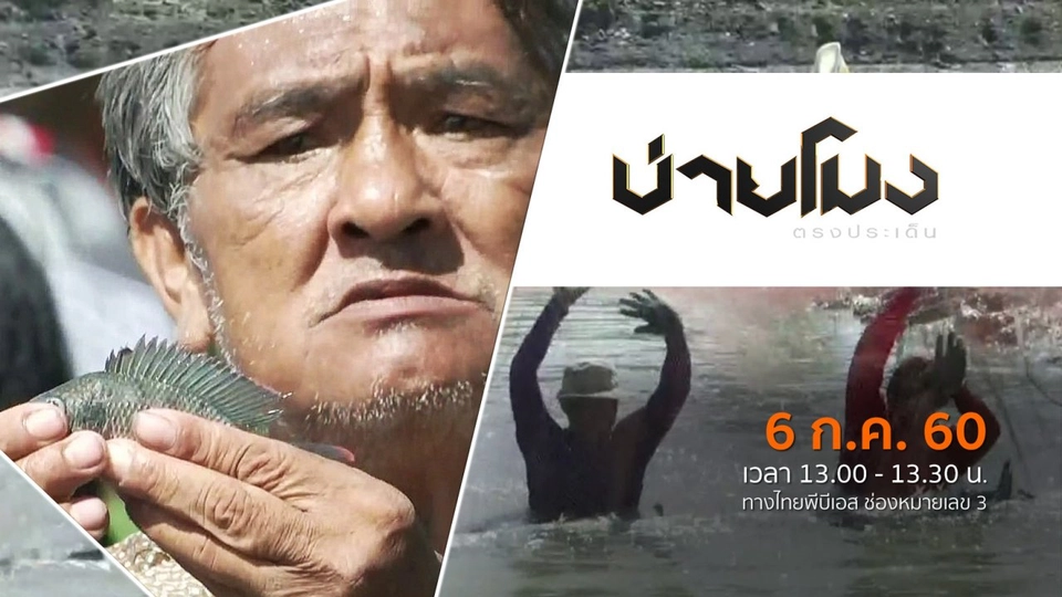 ประเด็นข่าว ( 6 ก.ค. 60)