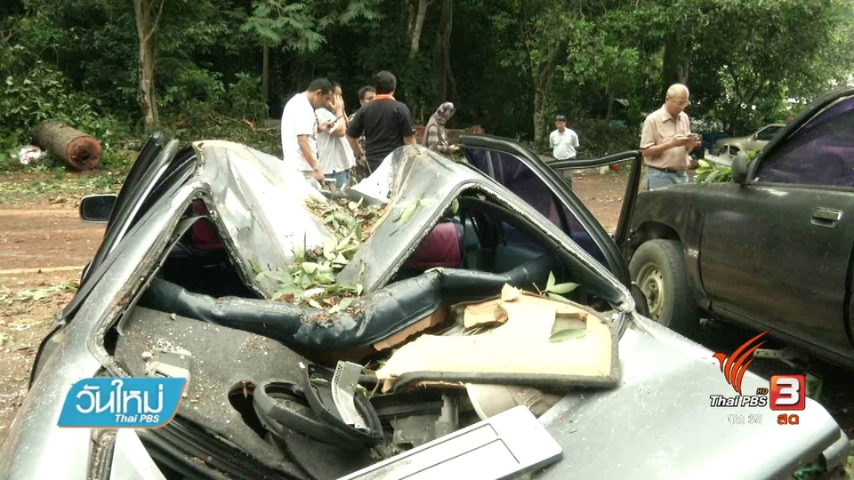 เตรียมตัดต้นไม้เสี่ยงหักโค่นบนดอยสุเทพ จ.เชียงใหม่