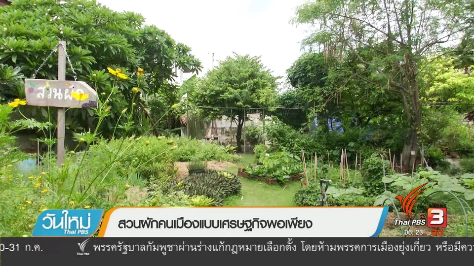 สวนผักคนเมืองแบบเศรษฐกิจพอเพียง