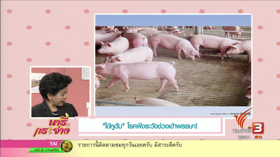 ระวังไข้หูดับช่วงเข้าพรรษา