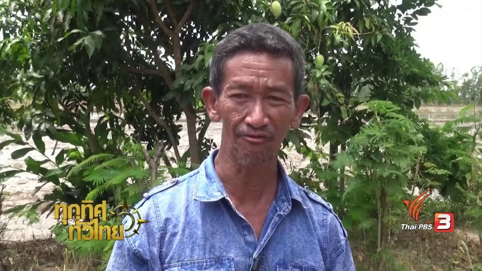 อาชีพทั่วไทย : ฟาร์มมดแดง