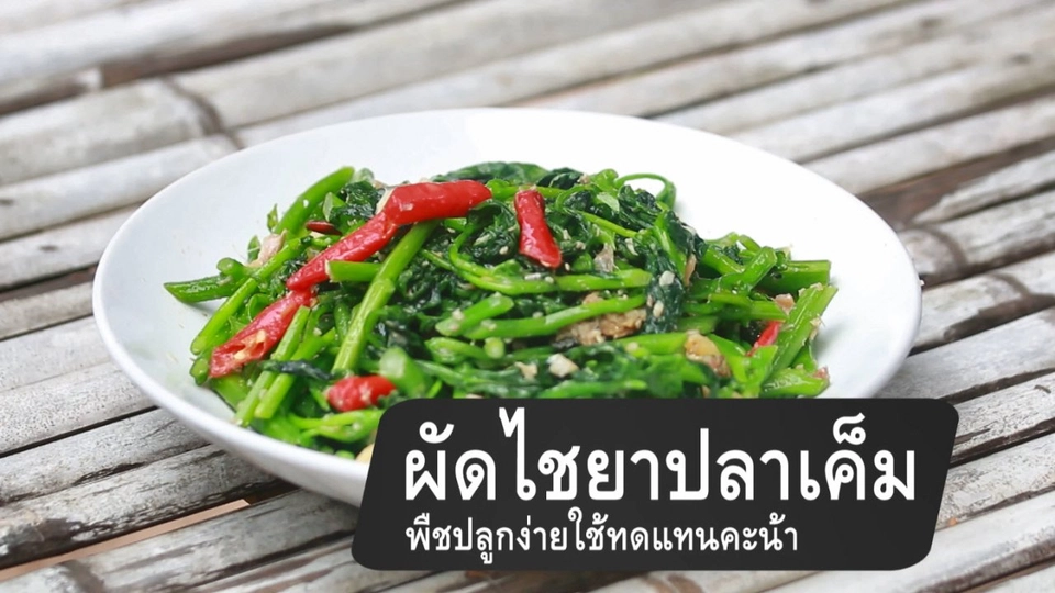 ผัดไชยาปลาเค็ม พืชปลูกง่ายใช้ทดแทนคะน้า