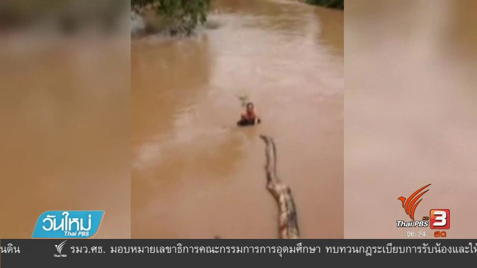 ชื่นชมชายกระโดดน้ำช่วยสุนัขจมน้ำ