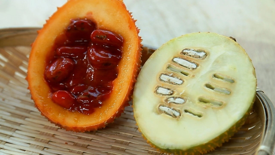 กินดี อยู่ดี กับหมอพรเทพ : ประโยชน์จากฟักข้าว