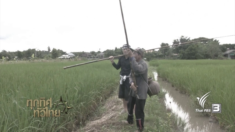วิถีทั่วไทย : หาปลาด้วย "เบ็ดโด่"
