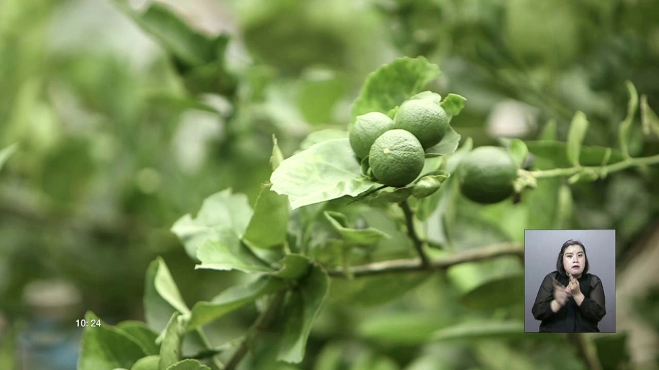 ต้นแบบการพัฒนาจากภูผาถึงมหานที