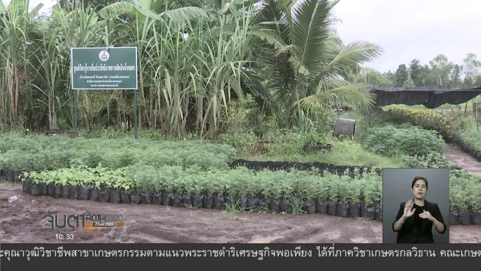 ตามรอยพ่อสู่การบริหารเศรษฐกิจยั่งยืน