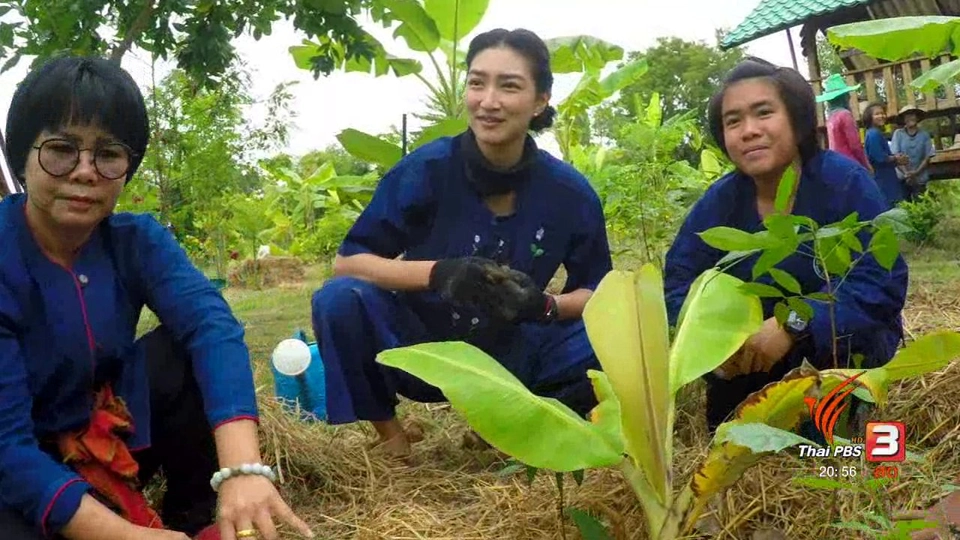 โคกหนองนา ดาราโมเดล แพนเค้กกับการสานต่อรอยเท้าพ่อ
