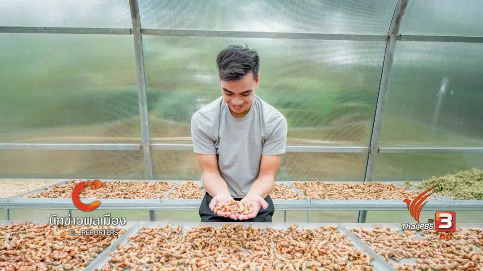 นักข่าวพลเมือง : เกษตรรุ่นใหม่ เดินตามรอยพ่อ