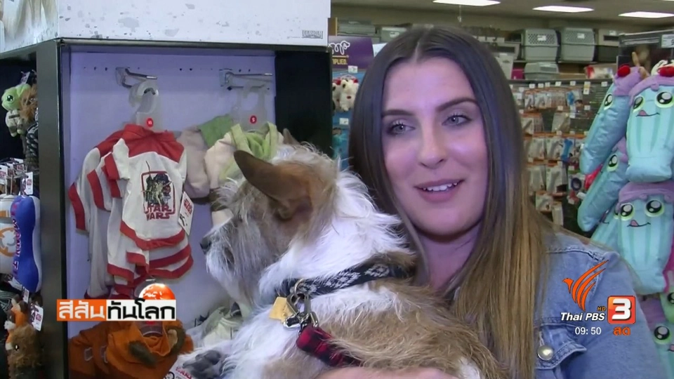 ชุดฮาโลวีนสำหรับสุนัข