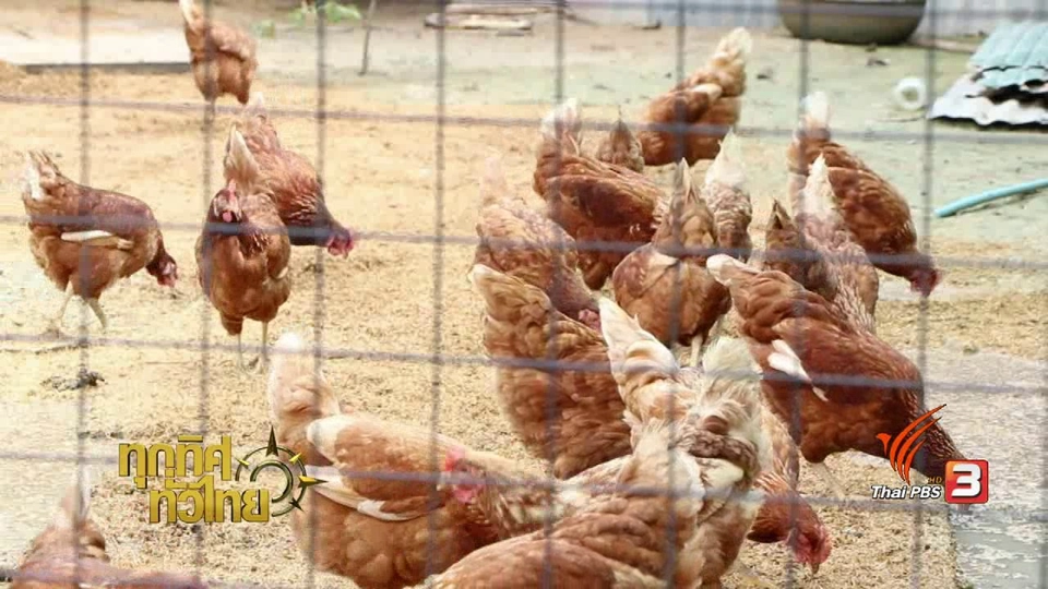 ชุมชนทั่วไทย : บริหารจัดการพื้นที่ด้วยเกษตรทฤษฎีใหม่