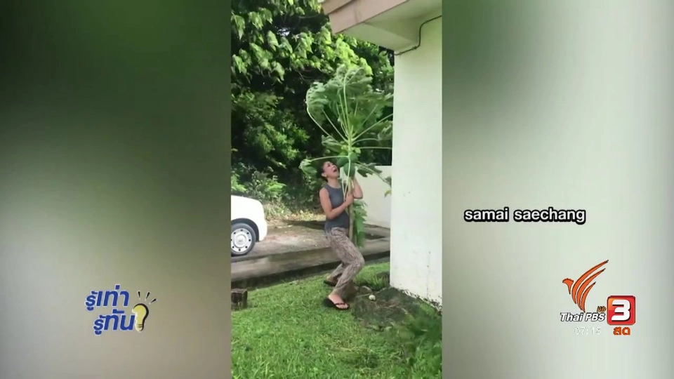 รู้ทันโซเชียล (1 พ.ย. 60)