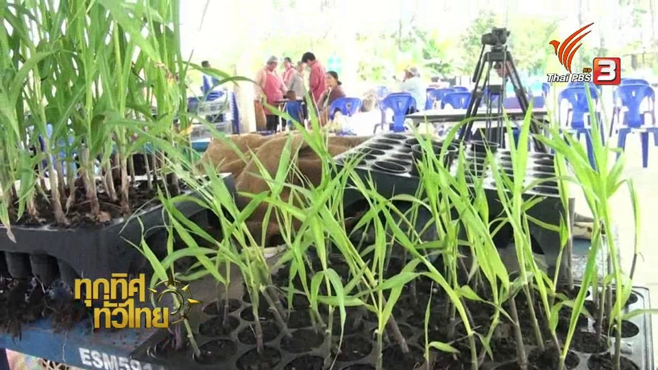 เกษตรสระแก้วผลิตสารกำจัดโรคพืชใช้เอง