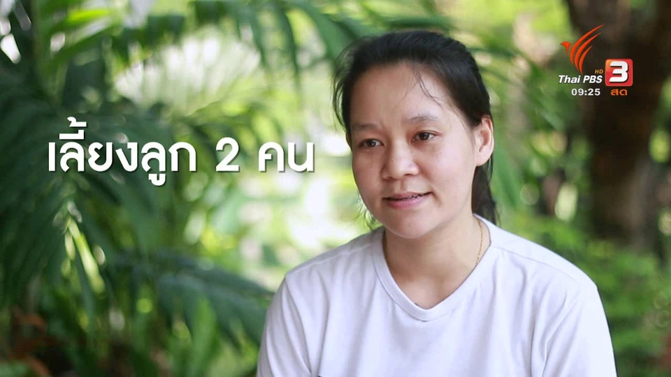 เก็บเบี้ยให้ถึงล้าน : อาชีพถนัดสร้างรายได้เสริม