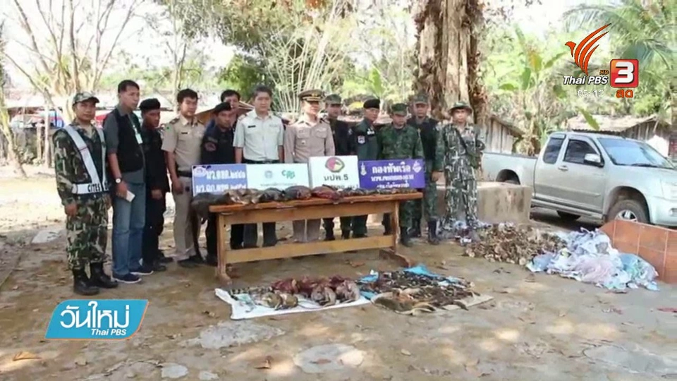 ยึดซากสัตว์ป่าจุดผ่อนปรนไทย - ลาว จ.หนองคาย