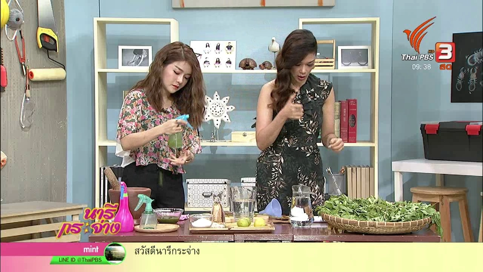 นารีสนทนา : กำจัดปลวกอย่างได้ผล แบบธรรมชาติไร้สารเคมี