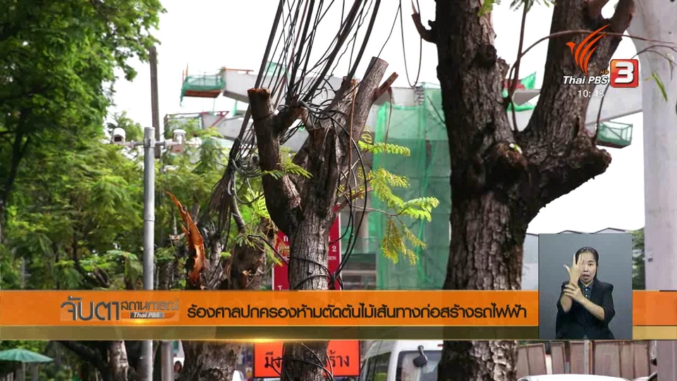 ร้องศาลปกครองห้ามตัดต้นไม้เส้นทางก่อสร้างรถไฟฟ้า