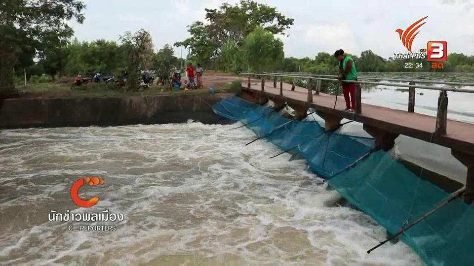 นักข่าวพลเมือง : ดักปลากระโดด อ.ปราสาท จ.สุรินทร์
