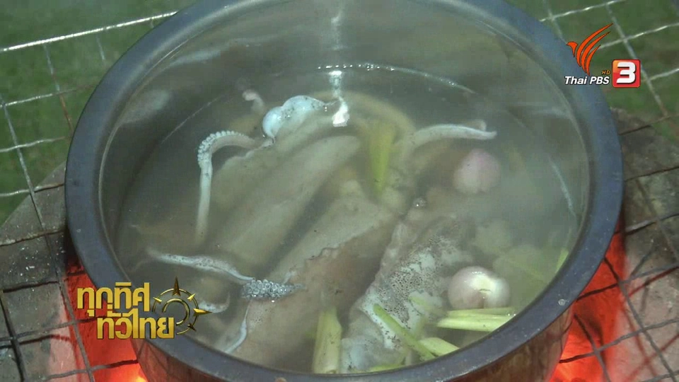 วิถีทั่วไทย : "เหวี่ยงหมึก" ประมงพื้นบ้าน